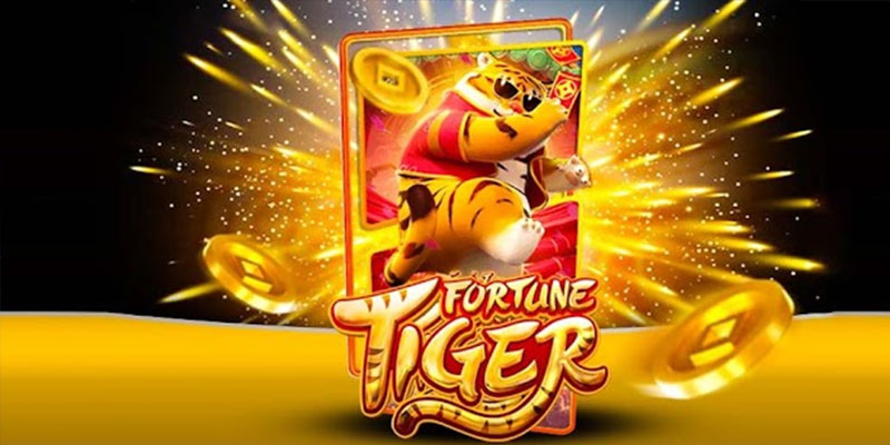 Quem é o Fortune Tiger 5gbet.Com